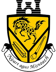 Picture of Pittsburgh Hurling 
